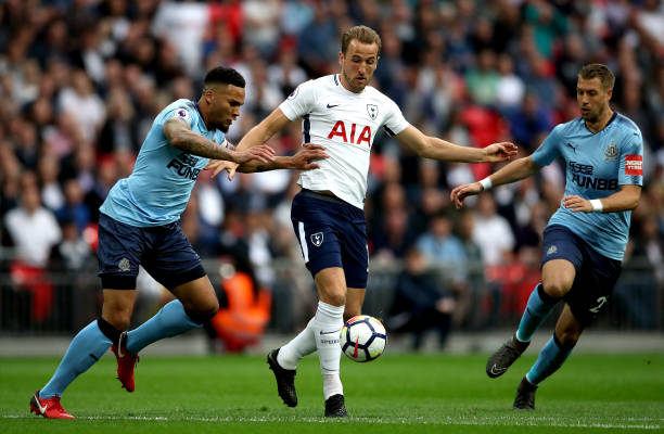 希望能在适 希望能在适